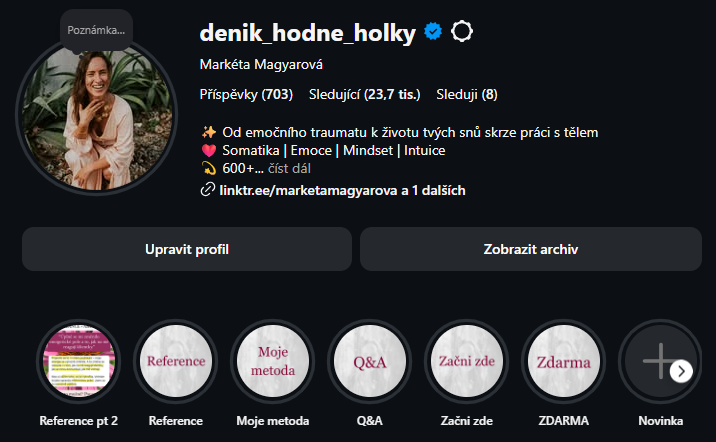 Instagram profil Deník Hodné Holky s 23,7 tisíci sledujícími